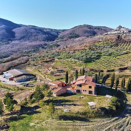 Az.Agr. Il Cavalleggero Campiglia dʼOrcia Екстериор снимка