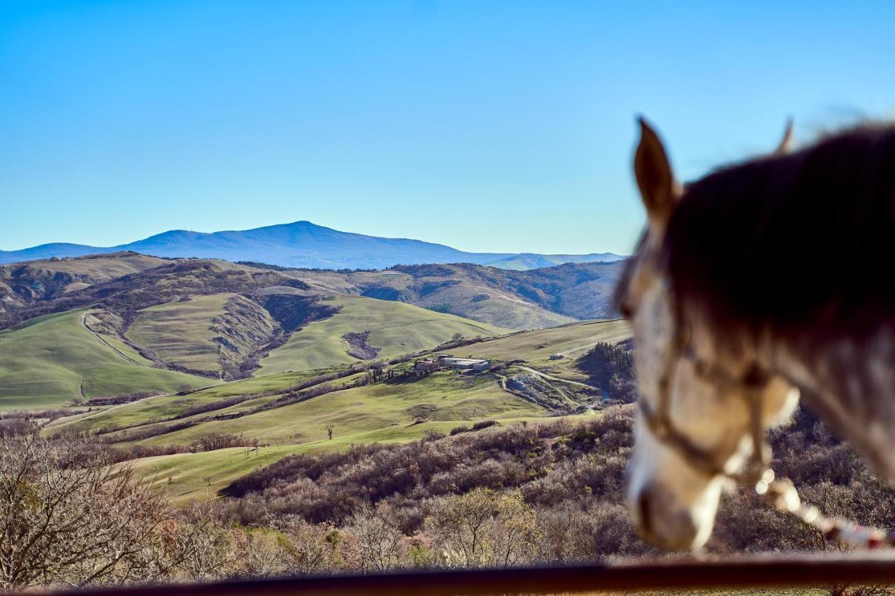 Az.Agr. Il Cavalleggero Campiglia dʼOrcia Екстериор снимка