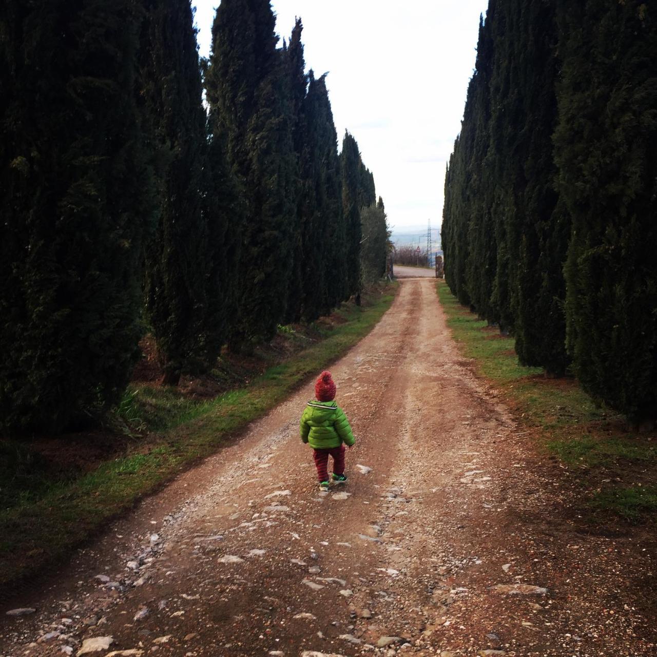 Az.Agr. Il Cavalleggero Campiglia dʼOrcia Екстериор снимка