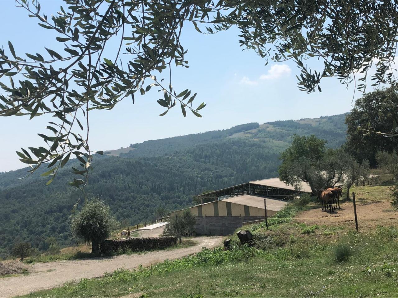 Az.Agr. Il Cavalleggero Campiglia dʼOrcia Екстериор снимка