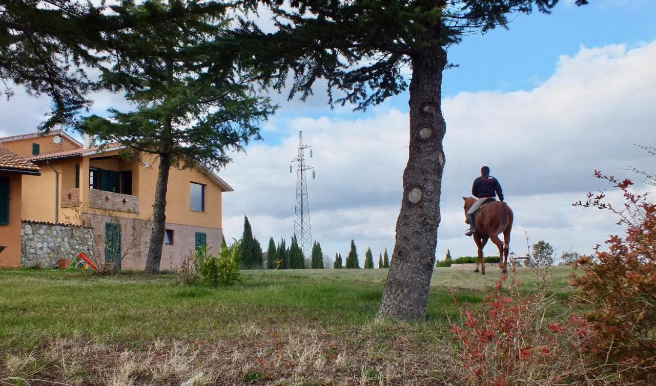 Az.Agr. Il Cavalleggero Campiglia dʼOrcia Екстериор снимка