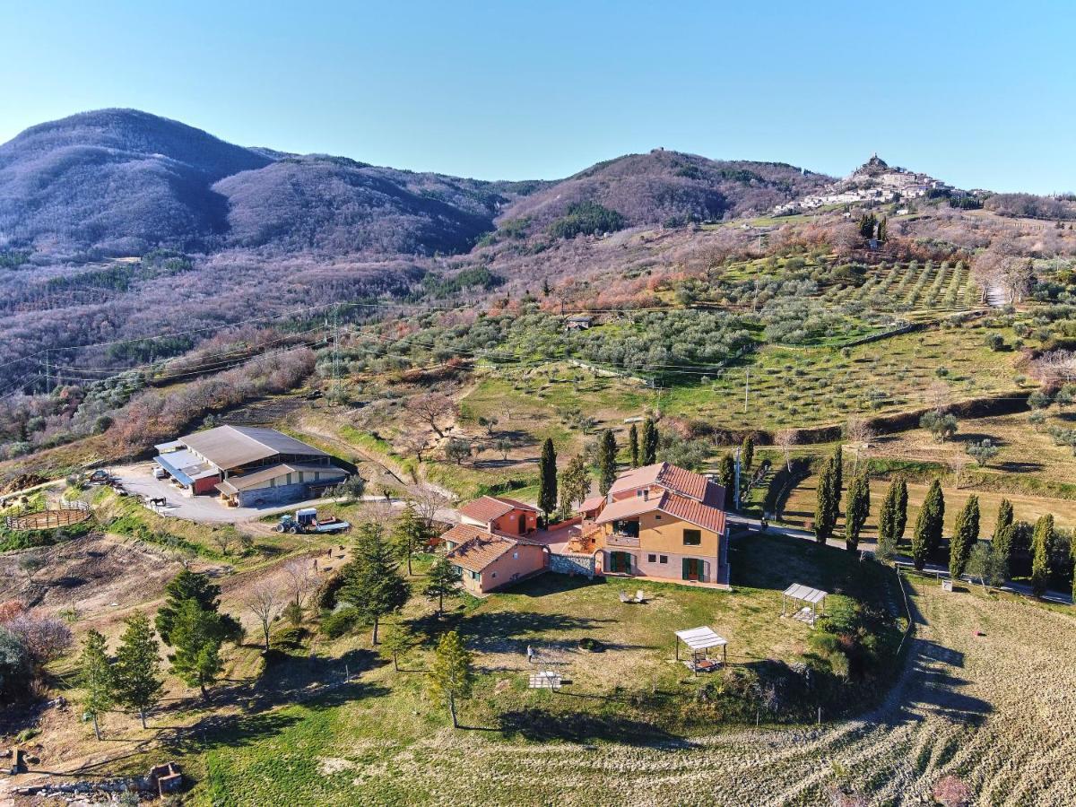 Az.Agr. Il Cavalleggero Campiglia dʼOrcia Екстериор снимка