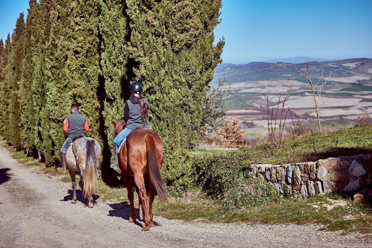 Az.Agr. Il Cavalleggero Campiglia dʼOrcia Екстериор снимка